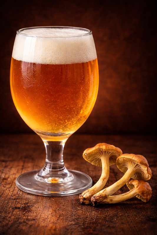 Lager de montaña - Lata 355ml